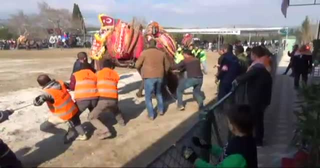 Develeri ayırmak kolay olmadı