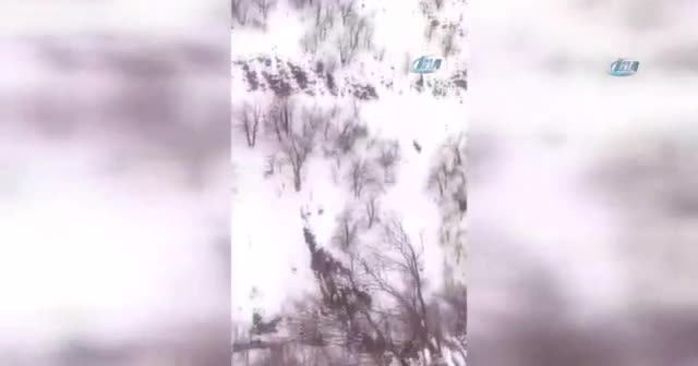 Elazığ’da ’kırmızı liste’deki vaşaklar görüntülendi