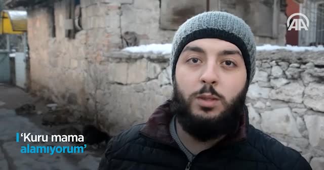 Her gün 200 kediyi doyuruyor