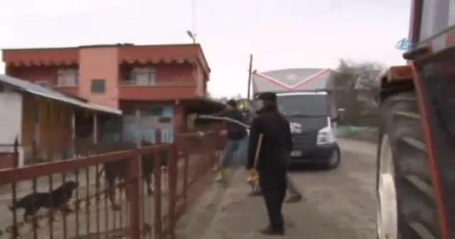 Öfkeli boğa 5 kişiyi yaraladı