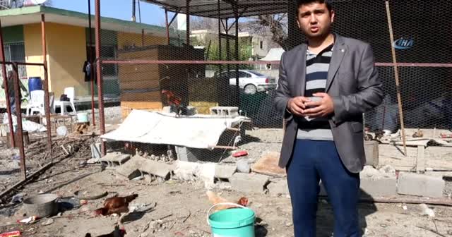 Osmaniye'de köy muhtarı tavukları ölümden kurtardı