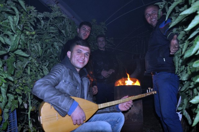Sazlı sözlü zirai don nöbeti