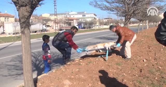 Suriyeli çocuk yaralı köpeğin başından ayrılmadı