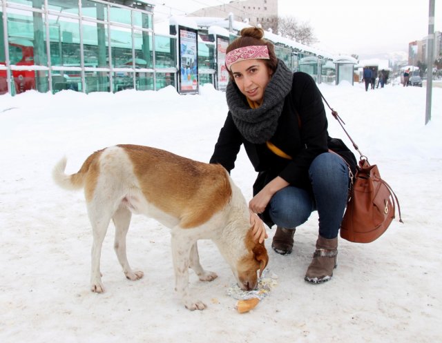 Yemeğini açlıktan bitkin düşen köpeğe verdi