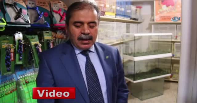 Yuvalarına kavuşacakları günü bekliyorlar