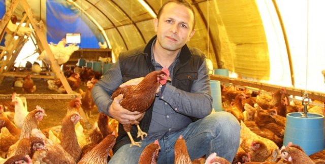 1 horoz 2 tavuk hayatını değiştirdi