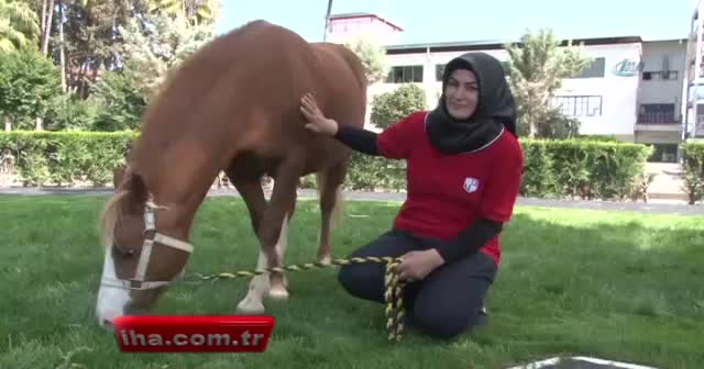 Atanamayan anaokulu öğretmeni seyis oldu