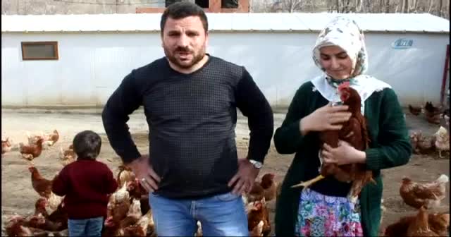 Atanamayan eşine destek olmak istedi: Tavuk çiftliği kurdu