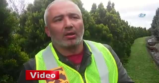 Köpeğe silahlı saldırı kamerada