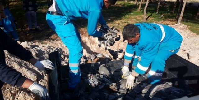 Kuş ölümleri halkı tedirgin ediyor