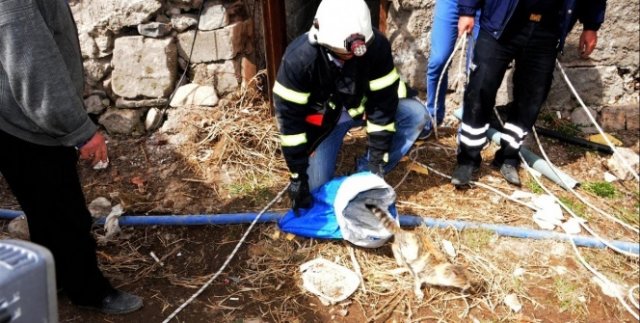 Kuyuya düşen kedi 2 günde kurtarıldı