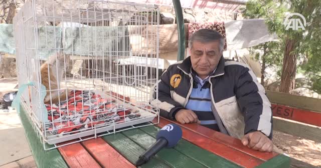 Mehmetçik'in kurtardığı 'Barış'a dünyanın dört bir yanından talep var