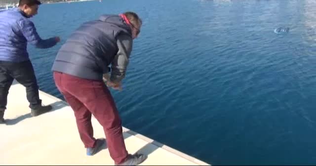 Oltalar birinci olmak için denize atıldı