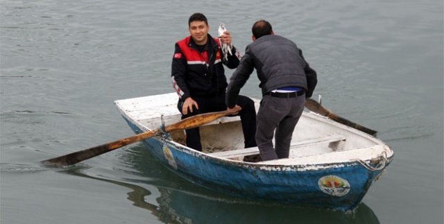 Oltaya takılan martıyı itfaiye kurtardı