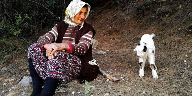 Yavru keçi için kurtarma ekipleri seferber oldu