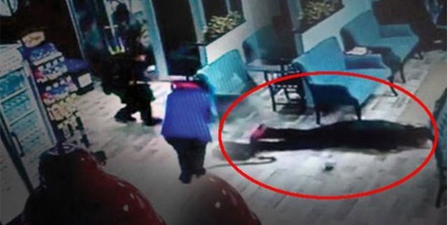 Beyoğlu’nda spor salonu cinayeti kamerada