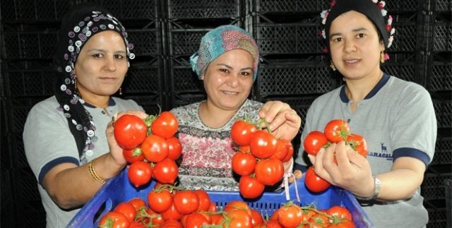 Domates doları da euroyu da solladı