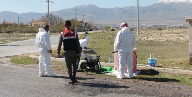 Niğde’de kuş gribi şüphesi