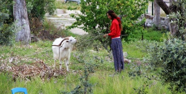 Podyumların yıldızıydı şimdi koyun otlatıp tavuk besliyor