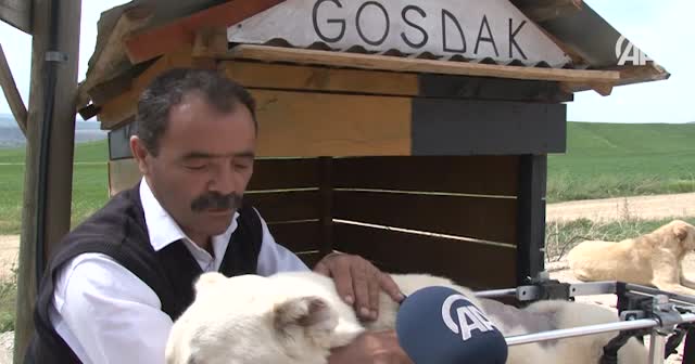 "Kostak" profesyonel yürüteçle yuvasına döndü