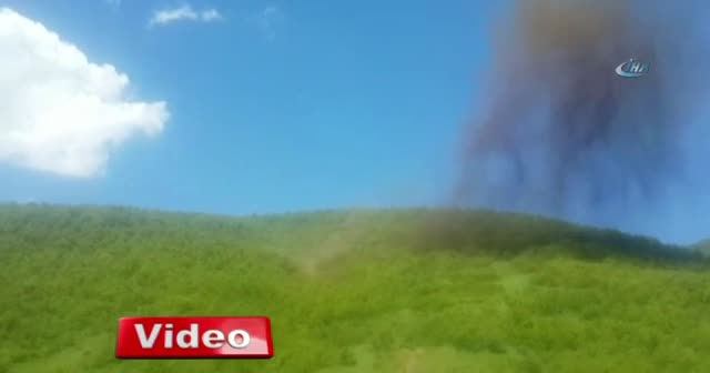 Bitlis'te bir ton EYP imha edildi