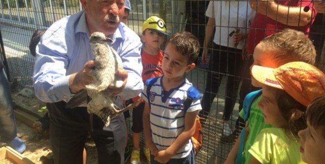 Devasa Vatozların mumyası yapıldı