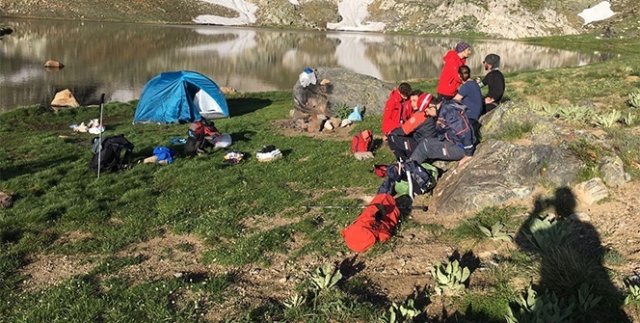 Kampta ayı paniği