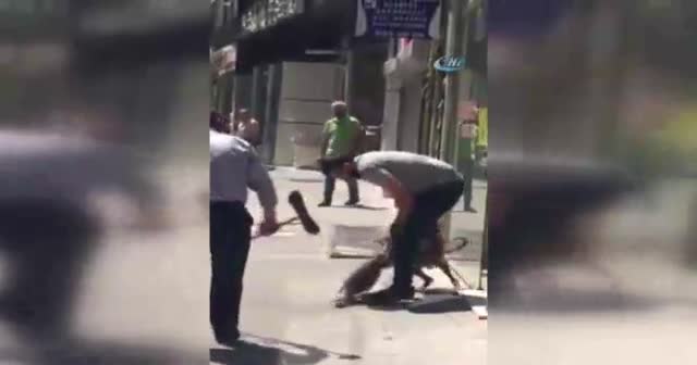Başkent’te pitbull dehşeti
