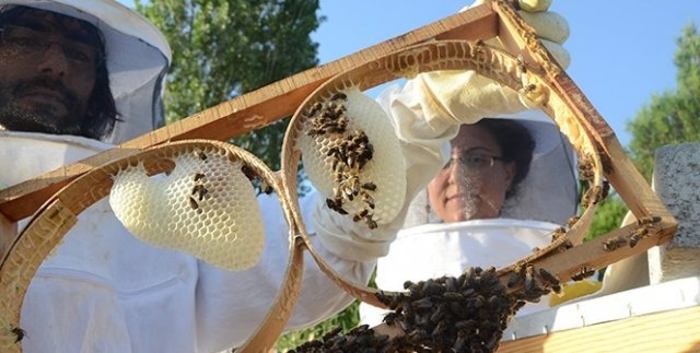 Hobi olarak başladıkları işten para kazanacaklar
