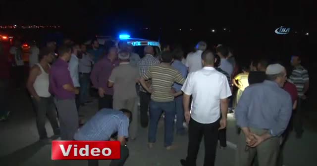 Sürüye çarpan hafif ticari araç 40 koyunu telef etti