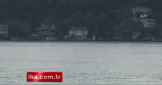 Yunuslar İstanbul Boğazı’nda renkli görüntüler oluşturdu