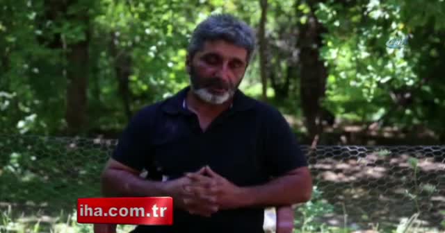 Ayı ikram edilen balı, kutusuyla götürdü