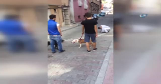 İstanbul’da sokak ortasında yürek burkan anlar