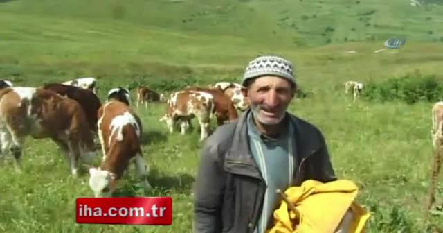 Posof’ta çoban bulamıyorlar