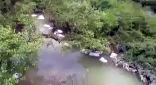 Arakan'da müslümanların cesetlerini nehire attılar!