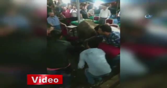 Kaçak boğa kahvehaneye daldı