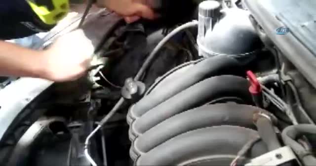 Kediler, Bursa'da bir arabanın motorunda dünyaya geldiler!