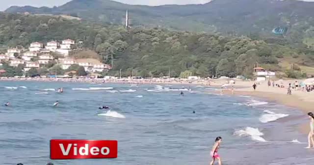 Zekası ile dikkat çeken sahipsiz köpek plajın maskotu oldu