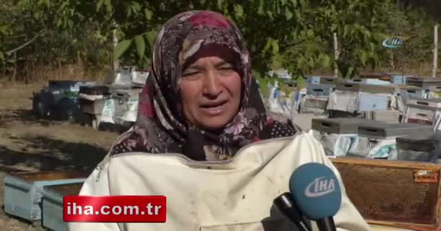 3 kovan ile işe başladı! Şimdi tam 1.5 ton bal üretiyor