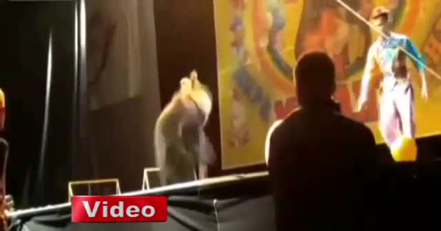 Ayı görevliye böyle saldırdı