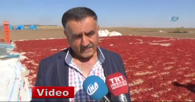Kırmızı biberle Türk bayraklı görsel şölen