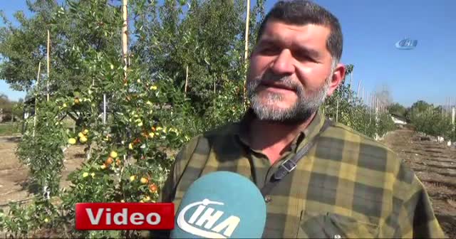 Rüyasında gördüğü meyveden 250 ton üretti