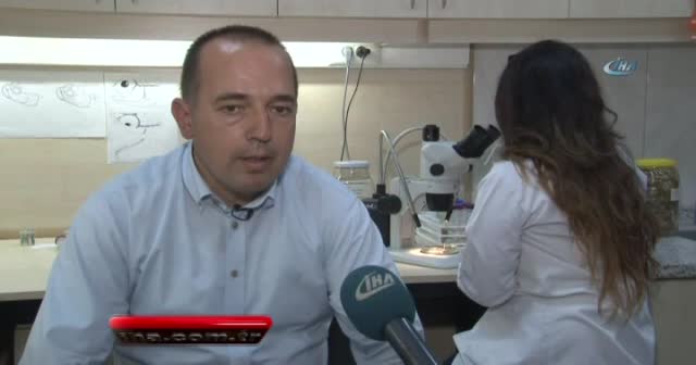 Türk bilim insanları keşfetti: 1 kuruş boyutunda balık