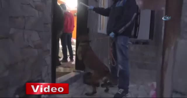 Yalova'da uyuşturucu tacirlerine şafak baskını