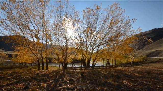 Aras Nehri'nde renk cümbüşü