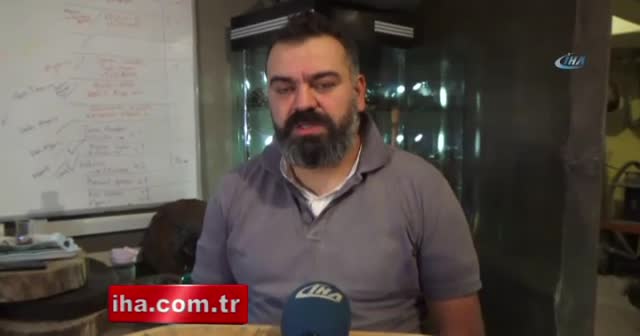 Ahşap yüzükler altınla yarışıyor
