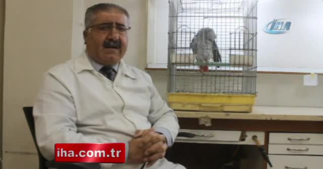 Bu papağan kendisine öğretilen 3 sureyi okuyabiliyor