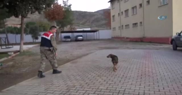 Cesur, asker abilerine kavuştu