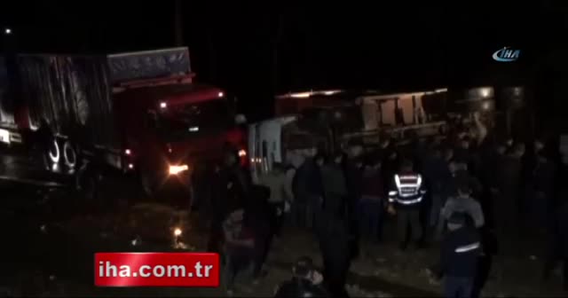 Devrilen kamyondaki tavukların bir kısmı telef oldu