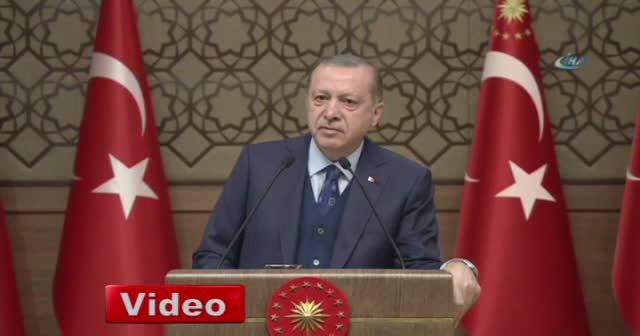 Erdoğan'dan BAE'li bakana çok sert cevap